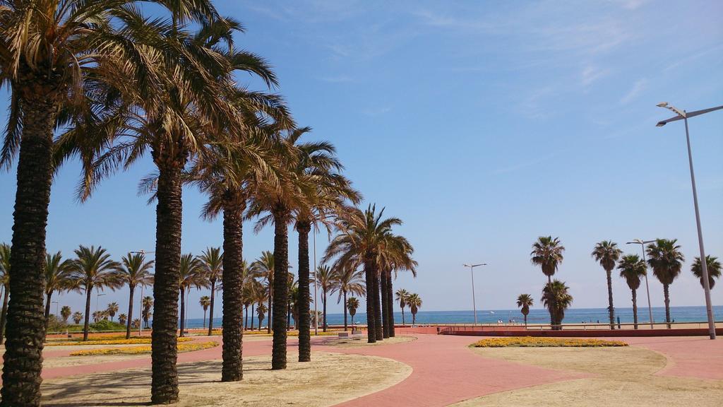 Torre Forum Daire Sant Adria de Besos Oda fotoğraf